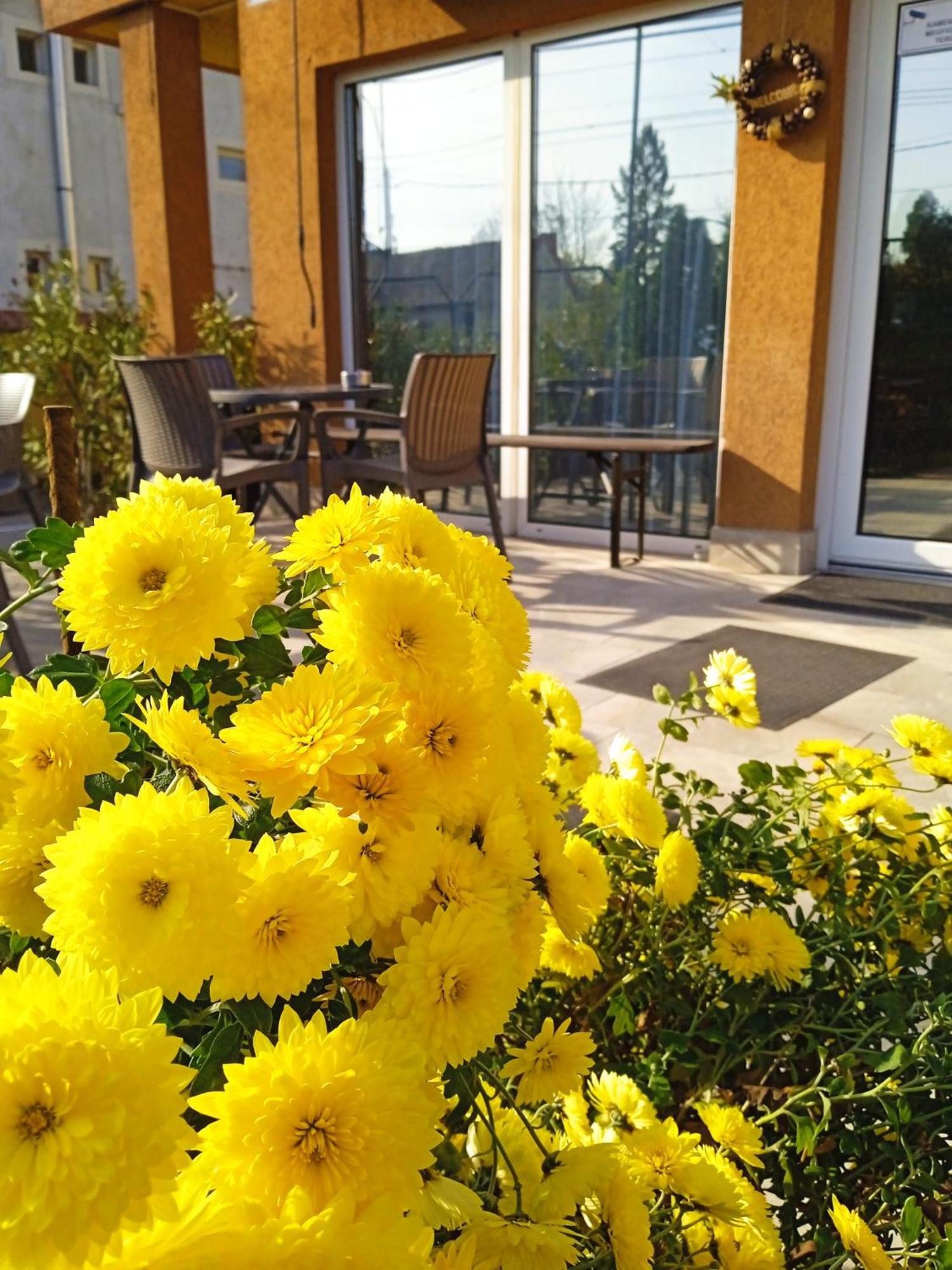 Alfred Panzio Bed & Breakfast Budapest Ngoại thất bức ảnh